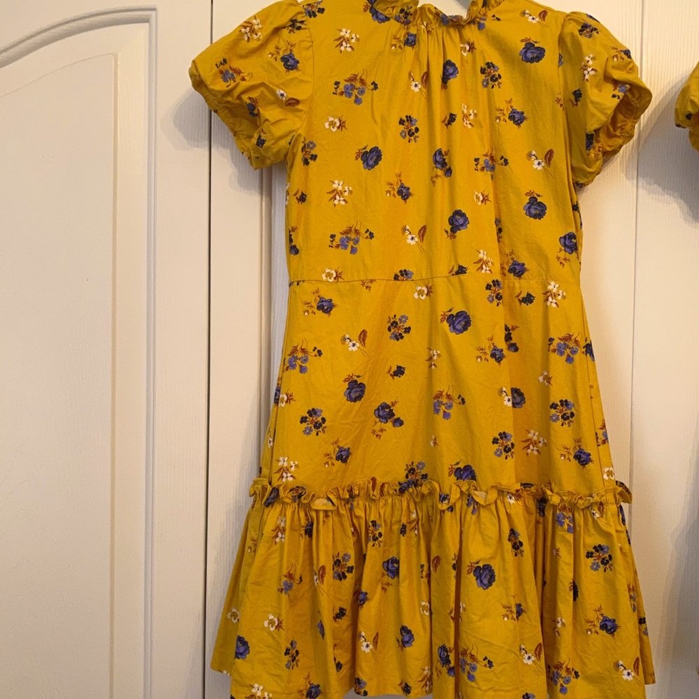 Janie and Jack dress size 8 and 10